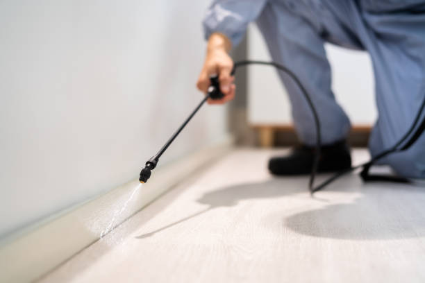 Bed Bug Pre-Treatment Preparation Assessment in Crownsville