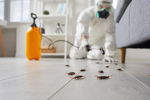 Post-Treatment Bed Bug Interceptor Monitoring in Crownsville