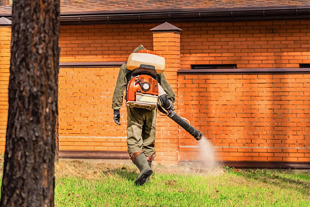 Bed Bug Clearance Verification and Documentation in Crownsville